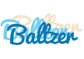 Baltzer breeze logo