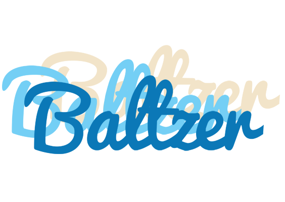 Baltzer breeze logo