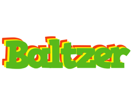 Baltzer crocodile logo