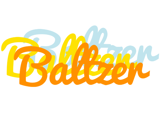 Baltzer energy logo