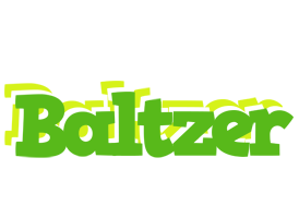 Baltzer picnic logo