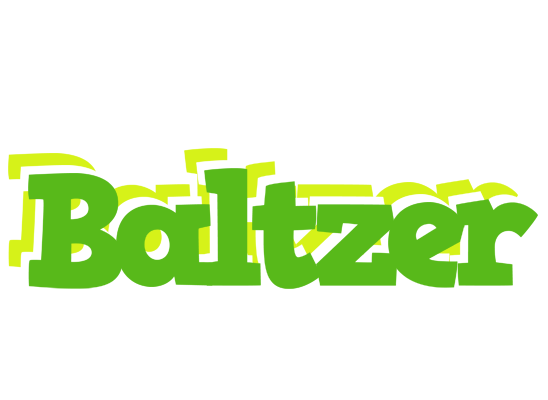 Baltzer picnic logo