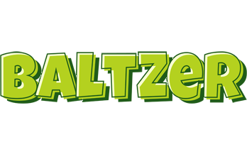 Baltzer summer logo