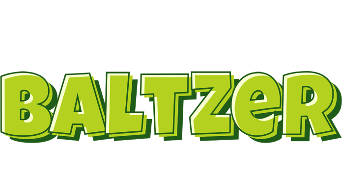 Baltzer summer logo