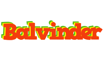 Balvinder bbq logo