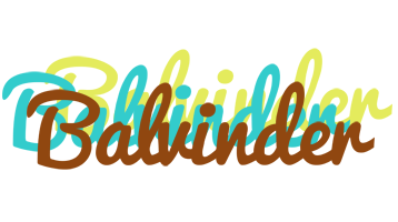 Balvinder cupcake logo