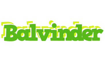 Balvinder picnic logo