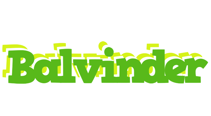 Balvinder picnic logo