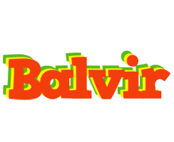 Balvir bbq logo