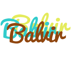 Balvir cupcake logo