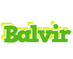 Balvir picnic logo