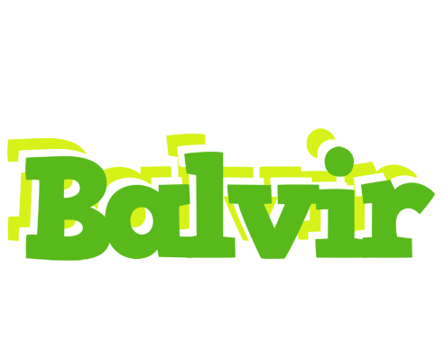 Balvir picnic logo