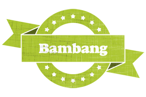 Bambang change logo