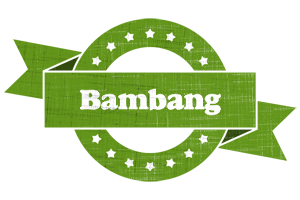 Bambang natural logo