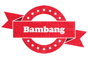 Bambang passion logo