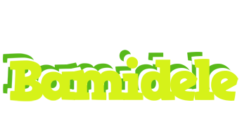 Bamidele citrus logo