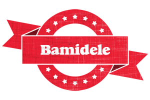 Bamidele passion logo