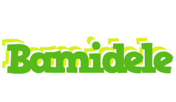 Bamidele picnic logo