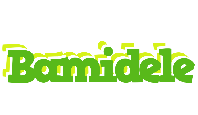 Bamidele picnic logo