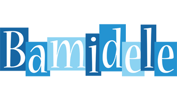 Bamidele winter logo