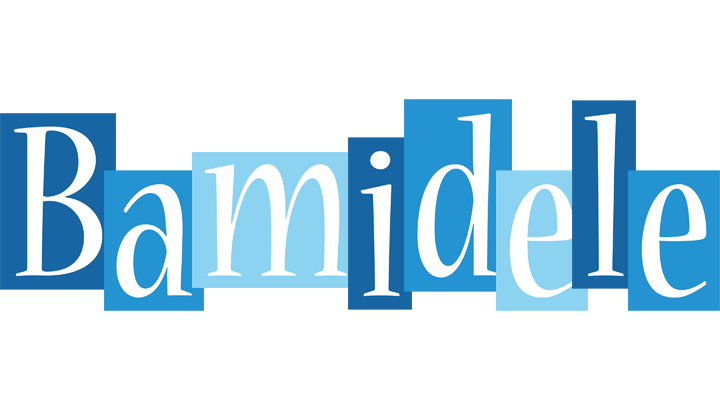 Bamidele winter logo