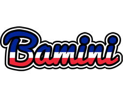 Bamini france logo