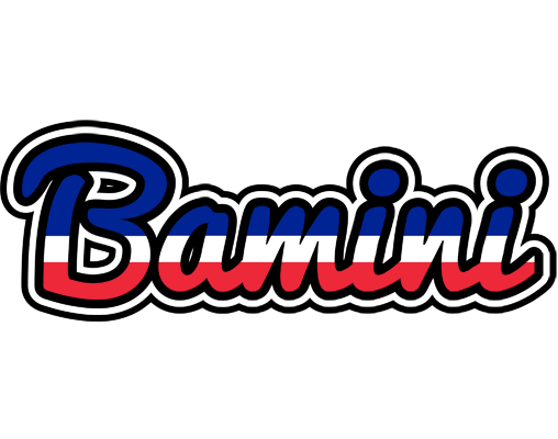 Bamini france logo