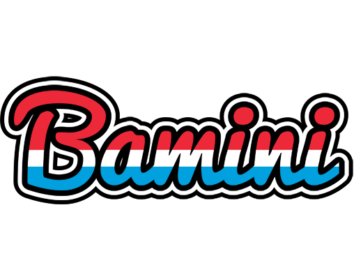 Bamini norway logo