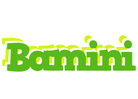 Bamini picnic logo