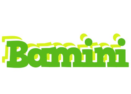 Bamini picnic logo