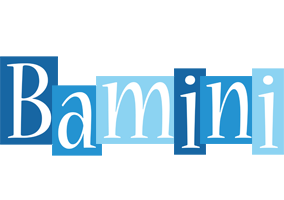 Bamini winter logo