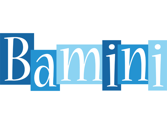 Bamini winter logo