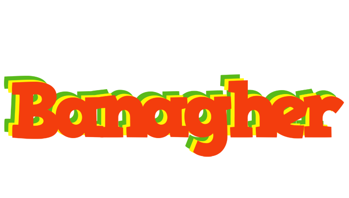 Banagher bbq logo