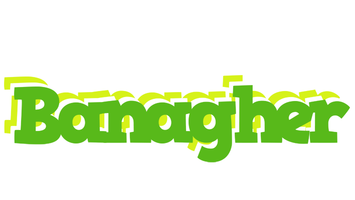 Banagher picnic logo