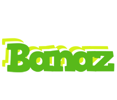 Banaz picnic logo