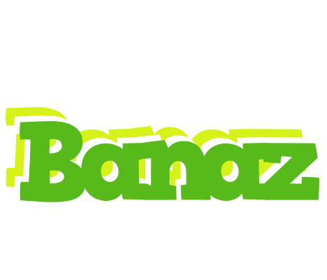 Banaz picnic logo