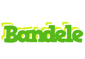 Bandele picnic logo