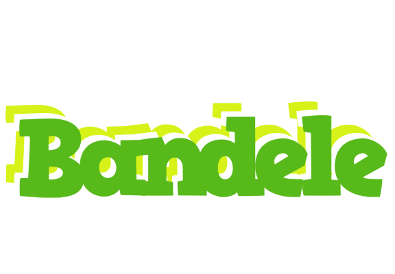 Bandele picnic logo
