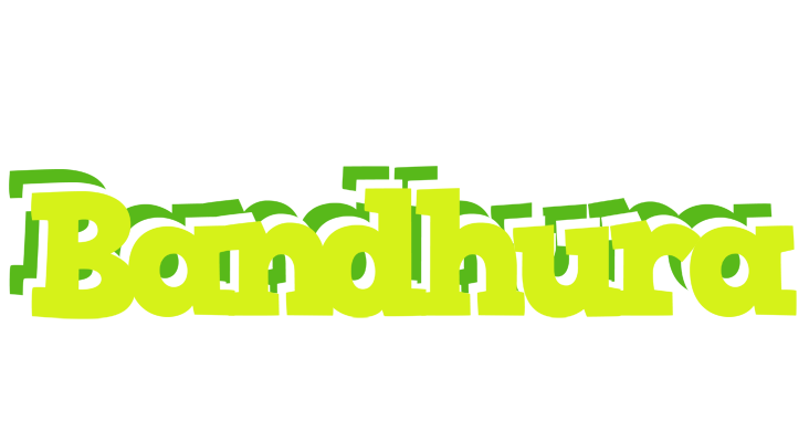Bandhura citrus logo