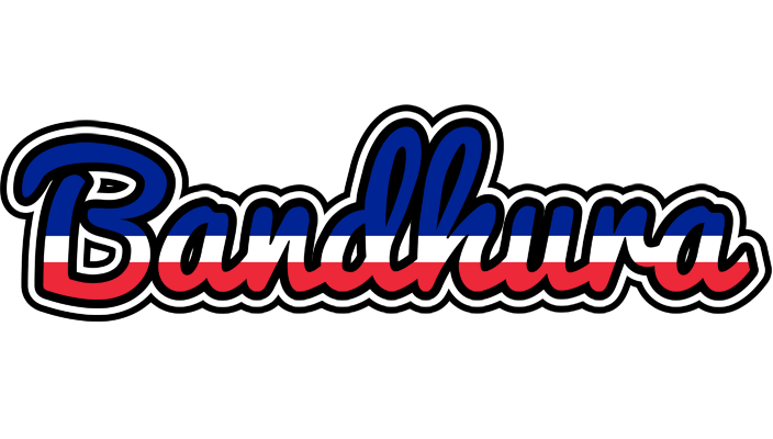 Bandhura france logo