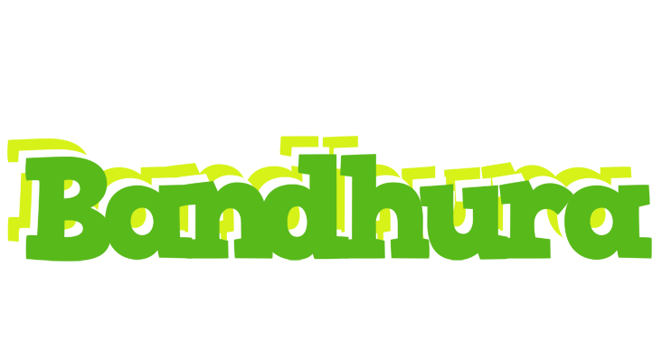 Bandhura picnic logo