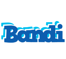 Bandi business logo