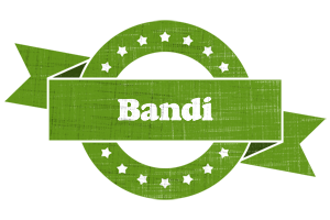 Bandi natural logo