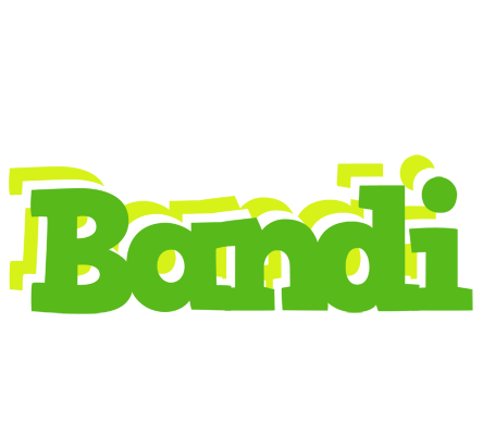 Bandi picnic logo