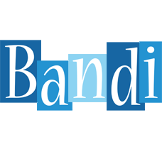 Bandi winter logo