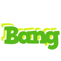 Bang picnic logo