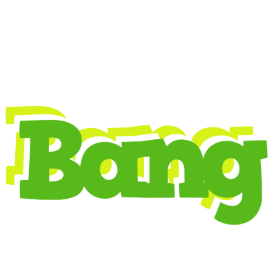 Bang picnic logo