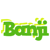 Banji picnic logo