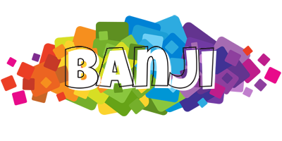 Banji pixels logo