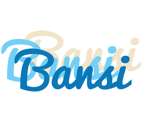 Bansi breeze logo